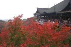 �y�G�[�XJTB�z���s�c�A�[�\��E���s�̗��فE�z�e���\��